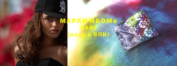 стафф Ельня