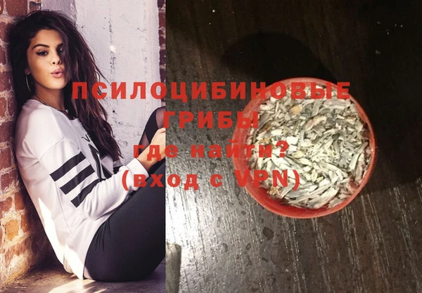 прущий лед Елизово
