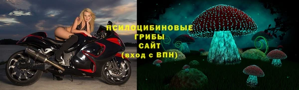 стафф Ельня