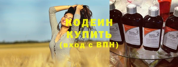 стафф Ельня