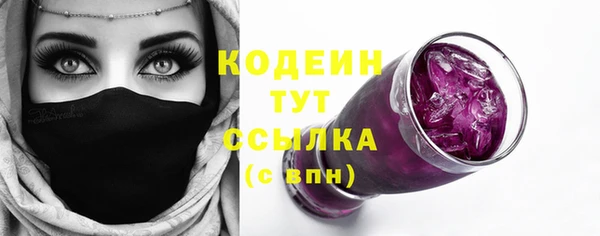 стафф Ельня