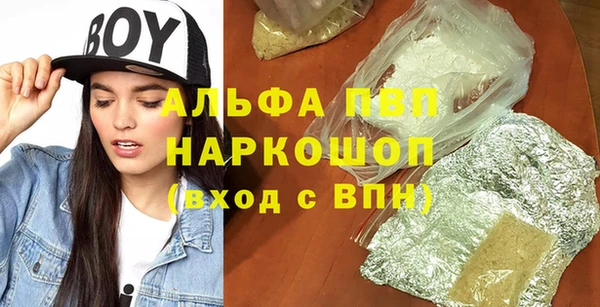 стафф Ельня