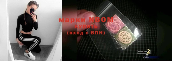 стафф Ельня