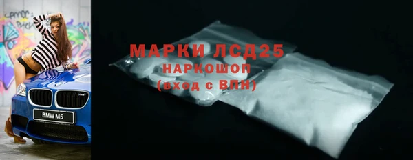 стафф Ельня