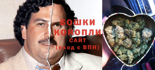 стафф Ельня