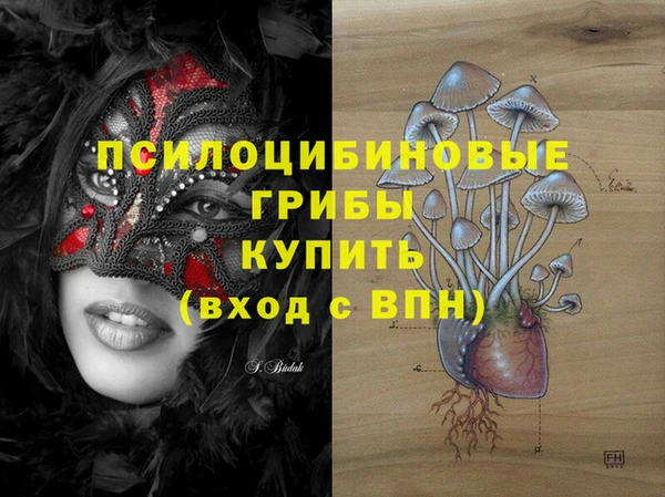 прущий лед Елизово