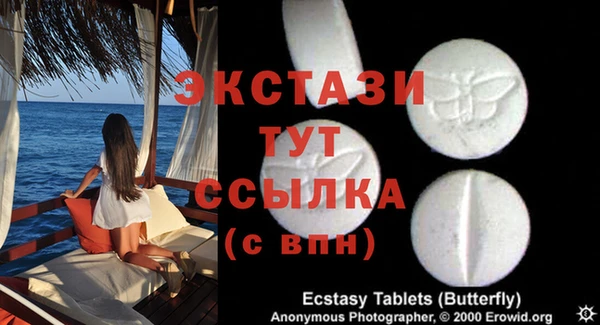 стафф Ельня