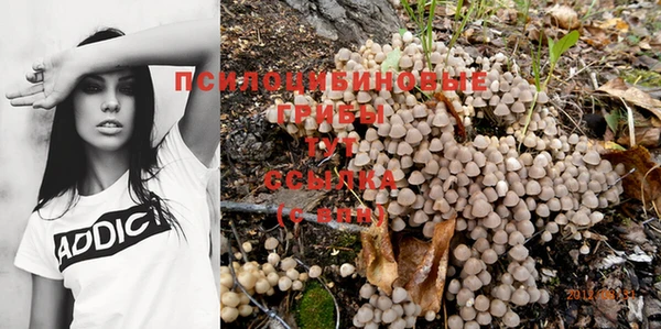 стафф Ельня